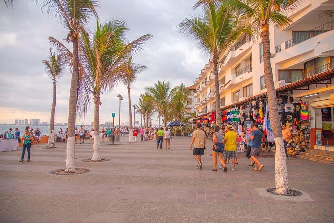 Puerto Vallarta Private Art Tour - Price and value: is $65 per person a fair deal?