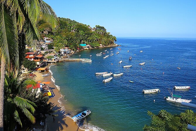 Puerto Vallarta: Private Yelapa Beach & Snorkel Tour on a Yacht - Getting to Bruma Café in Marina Vallarta without stress