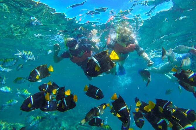 Puerto Vallarta: Private Yelapa Beach & Snorkel Tour on a Yacht - Comfort and value on board: snacks, WiFi, and an open bar that is actually fun