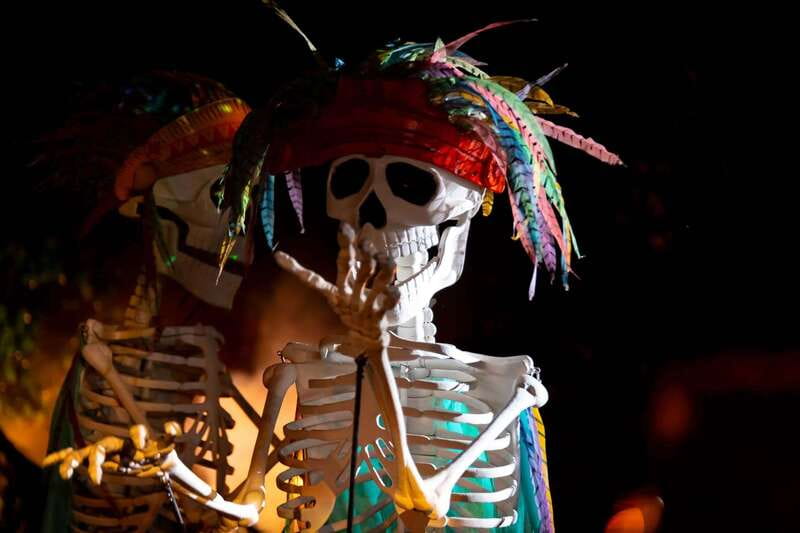 Puerto Vallarta Rhythms of the night, Show & Buffet dinner - Price and Value: What $129 Covers, Plus the Access Fee