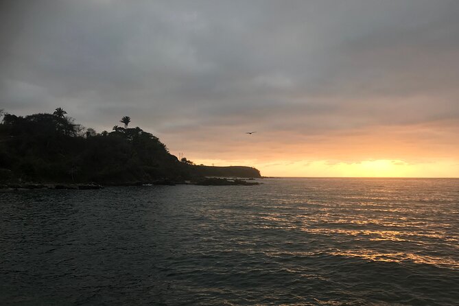 Puerto Vallarta's Yelapa Boat & Walking Tour - Meeting at Lazaro Cardenas Park, then starting with a scenic shift