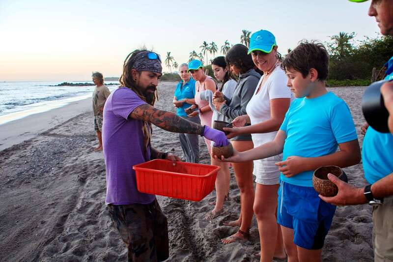 Puerto Vallarta: Sea turtle release at Sunset - Who this tour fits, and who should skip it