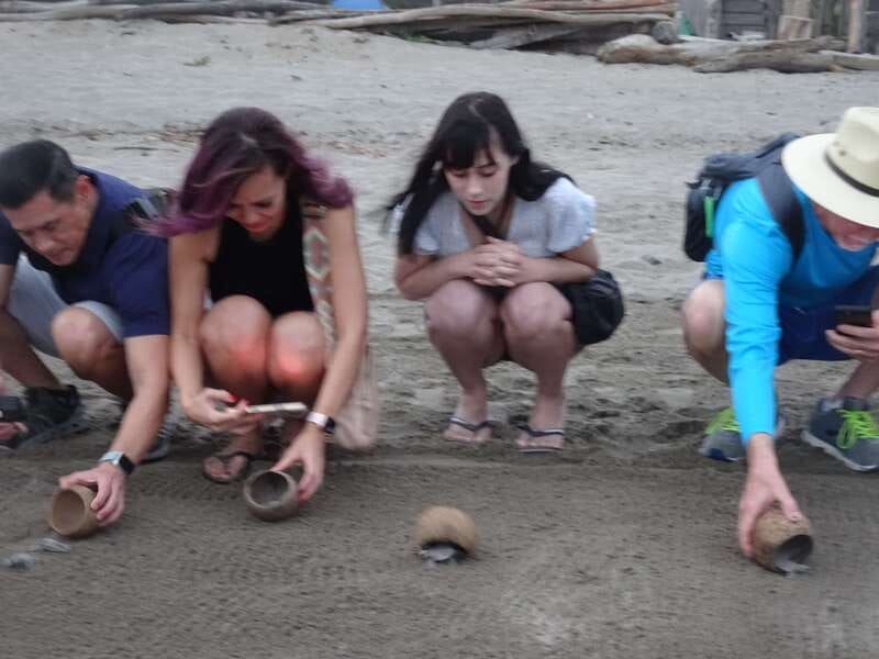 Puerto Vallarta: Sea turtle release at Sunset - Why the Puerto Vallarta sunset release hits different