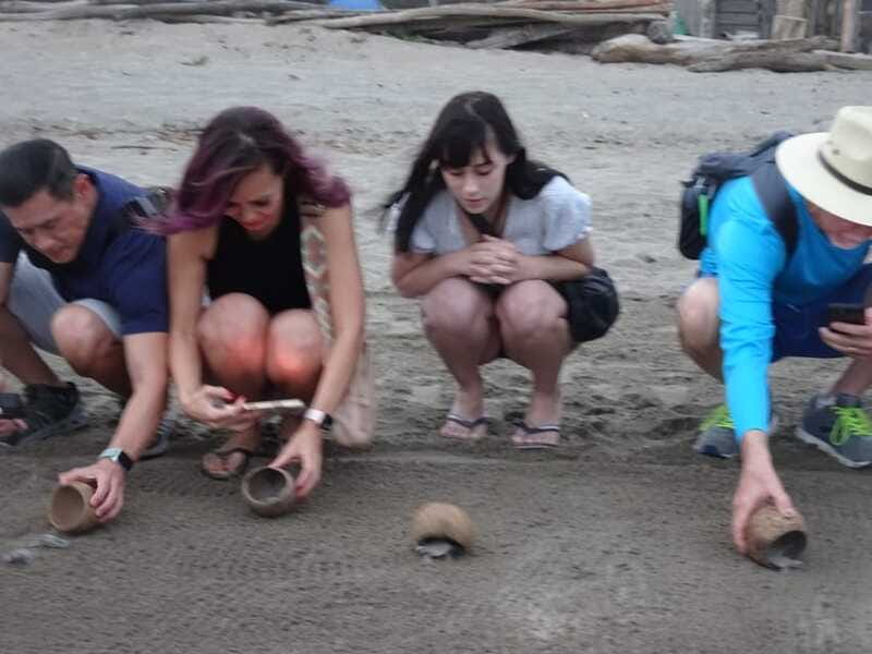 Puerto Vallarta: Sea turtle release at Sunset - The nursery visit: where protection becomes real