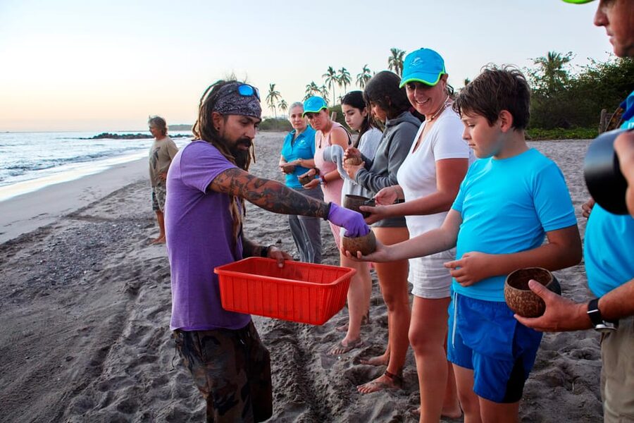 Puerto Vallarta: Sea turtle release at Sunset - Walking to the release site: timing, safety, and the moment mechanics
