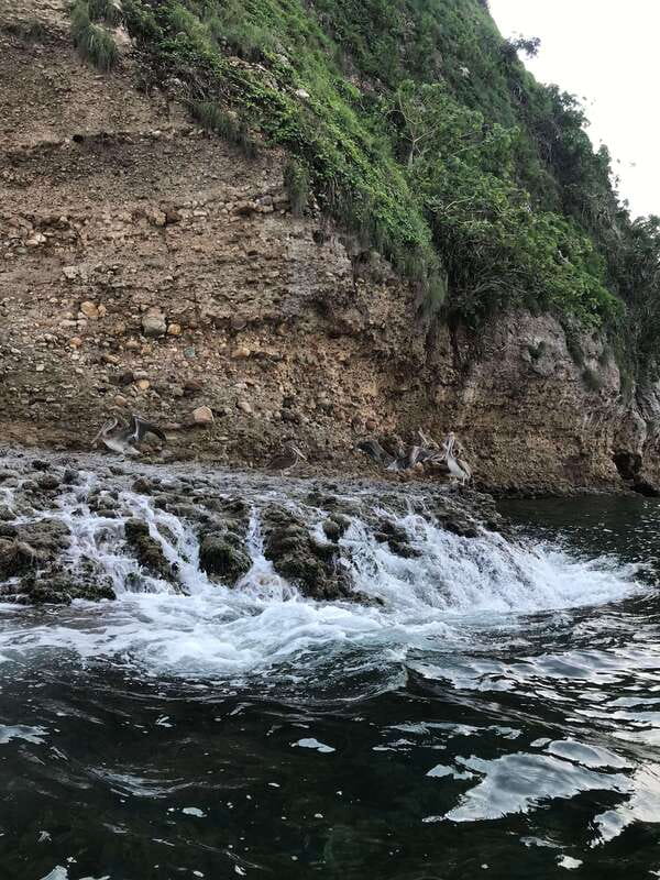 Puerto Vallarta: Snorkeling Tour to Los Arcos de Mismaloya - Who This Tour Is Best For