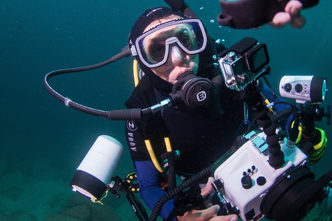 Puerto Vallarta Undersea Private Scuba Diving - Your private boat day starts at Marina Vallarta