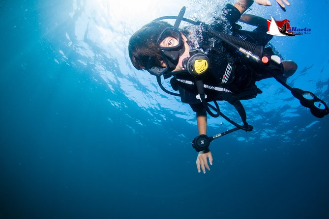 Puerto Vallarta Undersea Private Scuba Diving - Price and value: what $550 covers, plus the extras you should budget
