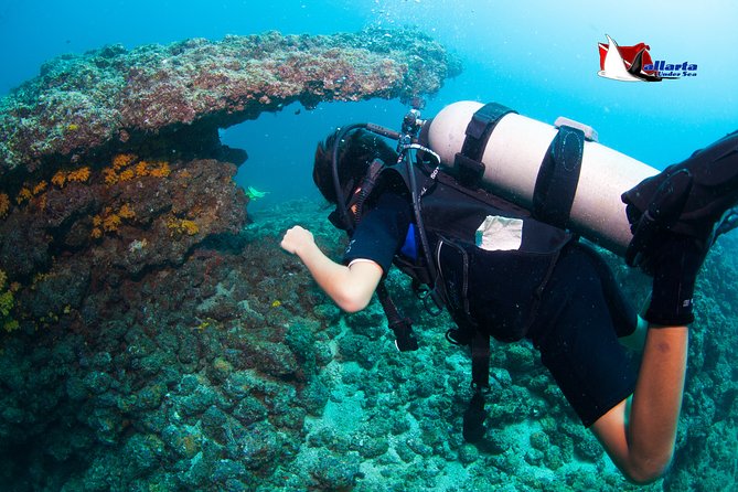 Puerto Vallarta Undersea Private Scuba Diving - Guides and crew: the names that kept showing up for a reason