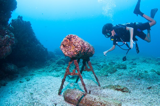Puerto Vallarta Undersea Private Scuba Diving - Who should book this private Puerto Vallarta scuba trip?