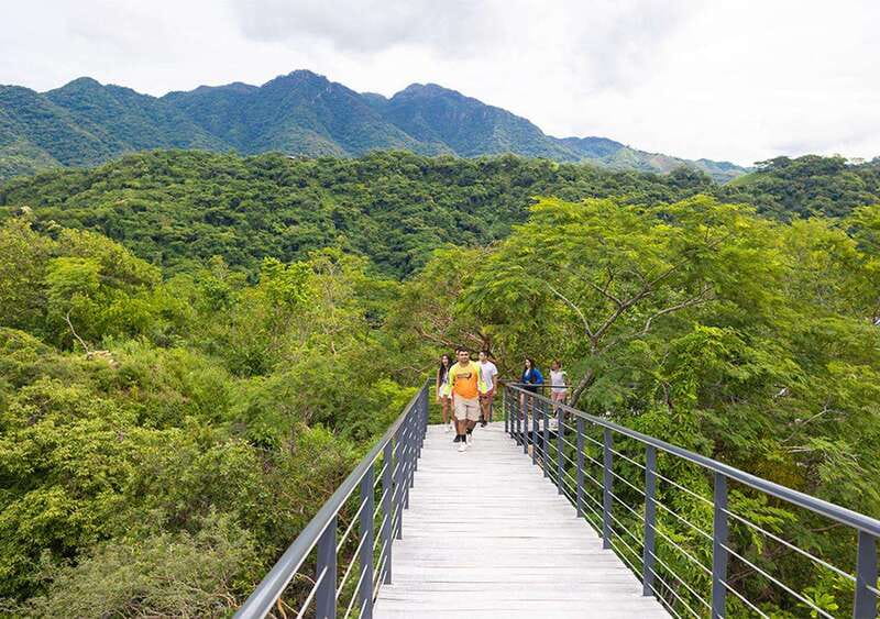 Puerto Vallarta: Walking Tour to Glass ViewPoint Jorullo - Who this tour fits best, and who should pass