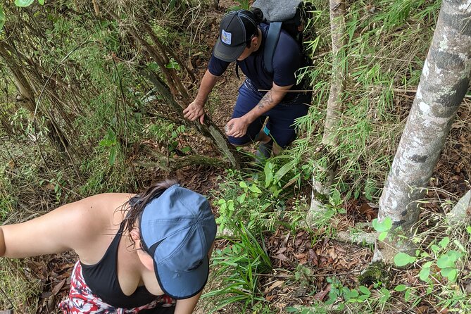 Puerto Vallarta Waterfall Hike - Crowds, Weather, and When to Choose This Tour