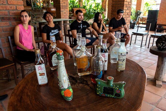 Puerto Vallarta Zipline, Mule ride and Jorullo Bridge Walking - Mule Ride Back Up Canyon: A Smart Way to End