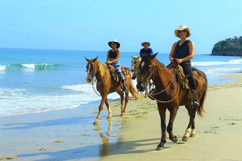 Punta de Mita/Sayulita: Horseback Riding Tour - Who This Tour Fits Best (And Who Should Skip It)