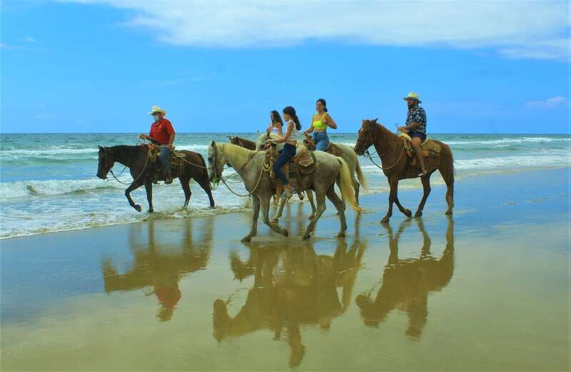 Punta de Mita/Sayulita: Horseback Riding Tour - Timing, Pickup, And The Reality Of A “1.5-Hour” Tour Day