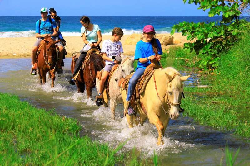 Punta de Mita/Sayulita: Horseback Riding Tour - Guide Team: Ricardo, Carlos, And Nico In The Flow