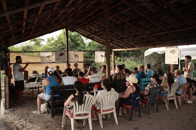 Release of Sea Turtles in Camp Tortuguero - Price and value: what $41.82 really buys you