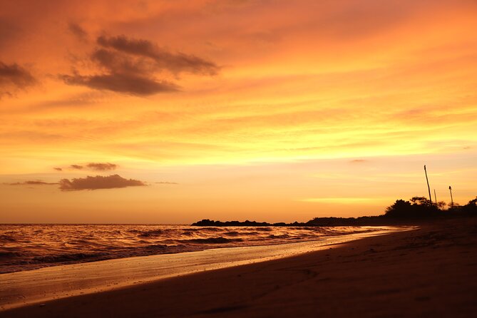 Release of Sea Turtles in Camp Tortuguero - Logistics that can make or break your day: heat, sand, shoes, and waiting