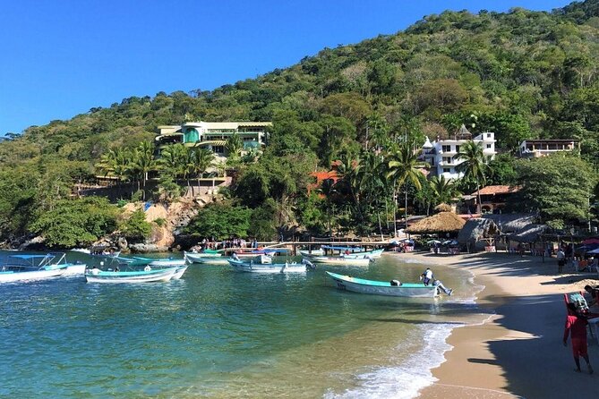 Remote Hidden Beaches Hike of South Shore (Puerto Vallarta) - Key Highlights You’ll Feel on This Hike