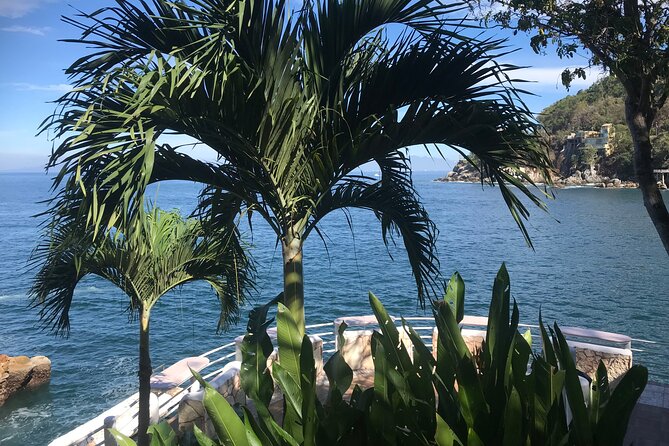 Remote Hidden Beaches Hike of South Shore (Puerto Vallarta) - What the Hike Feels Like: Views, Water, and a Nature Guide Who Adjusts