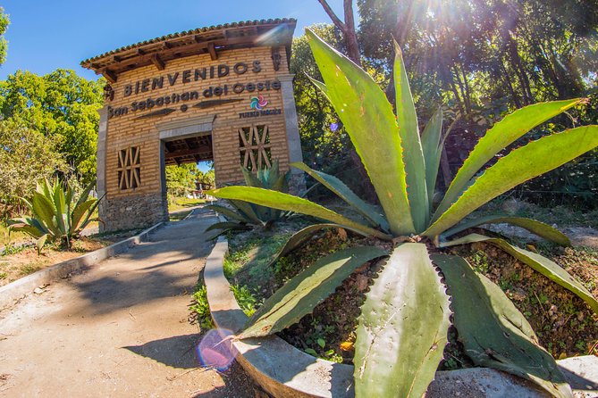 San Sebastian del Oeste - Coffee and agave: the farm side of San Sebastián del Oeste