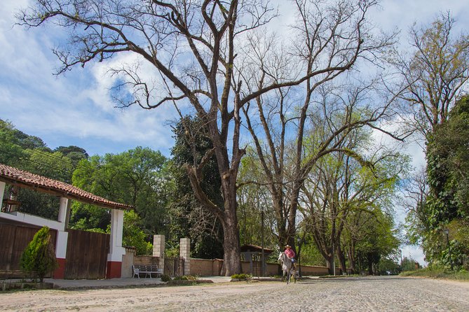 San Sebastian del Oeste - Who should book this, and who might not love it