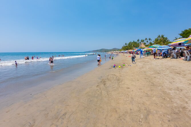 Sayulita And San Pancho Beachs Tour - Beach time in Sayulita: surf views, shade planning, and swim safety