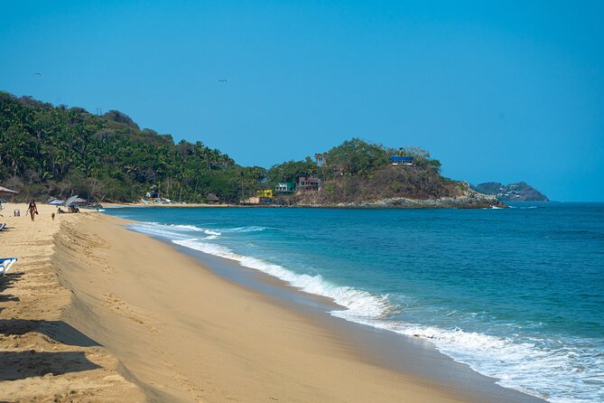Sayulita And San Pancho Beachs Tour - Pickup, timing, and why the bus schedule matters