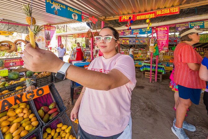 Sayulita and San Pancho Tour - Guides, Drivers, and the Biggest Day-Impact Factor