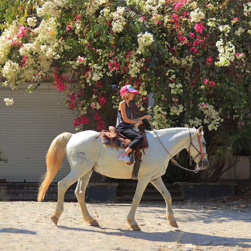 Sayulita: Horseback Riding Tour - Rancho Mi Chaparrita Sets the Tone for a Smooth Ride