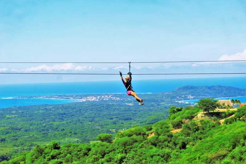 Sayulita/Punta Mita: Zip Lines with Ocean View - Wildlife sightings: what you might spot from the canopy