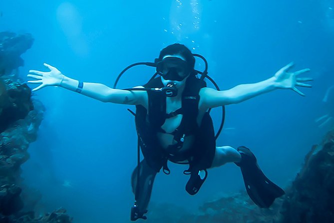 Scuba Diving Marietas Islands - Price and value: what $195.71 buys you