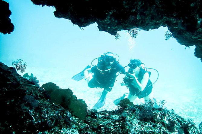 Scuba Diving Marietas Islands - Getting oriented: your meeting point and day rhythm
