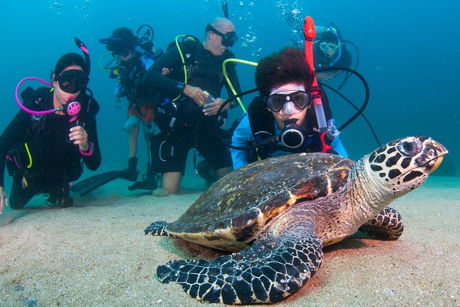 Scuba Diving Puerto Vallarta Undersea Arcos or Marietas - Marietas Islands: snorkel skill-building, the hidden beach option, and the certification rule