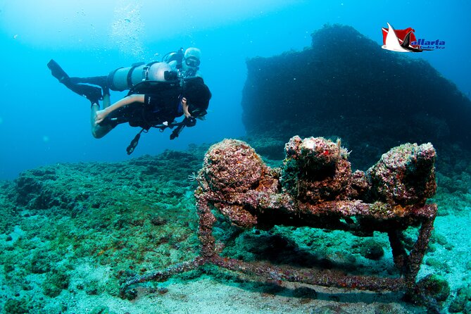 Scuba Diving Puerto Vallarta Undersea Arcos or Marietas - Leaving Marina Vallarta at 9:00 am, then finding the animals fast