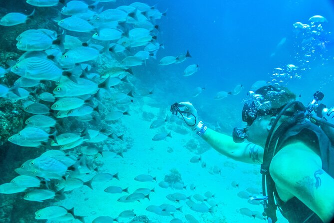 Scuba Diving with a 5-Star PADI Center in Puerto Vallarta - Why a PADI 5-Star center matters once you’re in Banderas Bay
