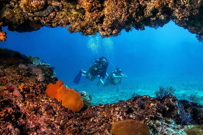 Scuba Diving with a 5-Star PADI Center in Puerto Vallarta - Equipment, weights, and buoyancy support that keeps you calm