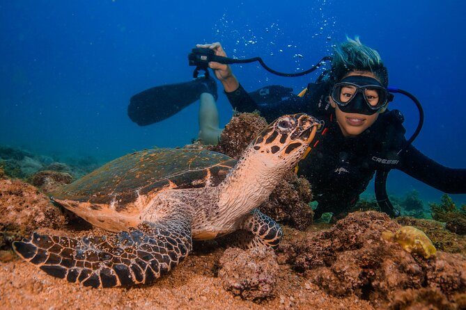 Scuba Diving with a 5-Star PADI Center in Puerto Vallarta - The guide and crew side: why people remember the day after the water