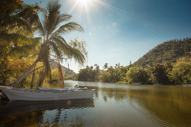Sea Safari & Beach BBQ at secluded Pizota jungle beach - Quimixto, Yelapa, and the Bay of Banderas Speedboat Cruise