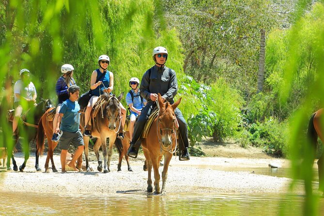 Sea Safari & Beach BBQ at secluded Pizota jungle beach - Tips I’d Follow Before You Go