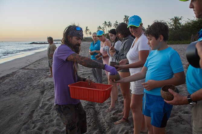 Sea Turtle Release – A Puerto Vallarta Conservation Adventure - What to expect during the return (and why timing matters)