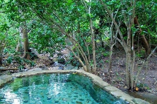 Shaded Hot Spring, Massage and Mex Grill in Puerto Vallarta - What the day looks like: from Sam’s Club to mountain mineral water