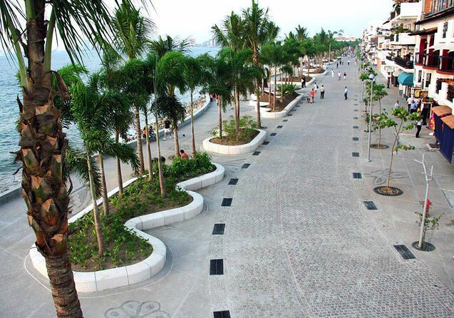 Signature Taco Tour in PV with Vallarta Eats - Key Things That Make This Taco Tour Worth Your Time