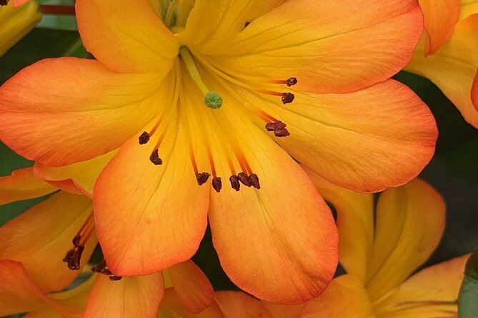 Skip the Line: Vallarta Botanical Garden Admission Ticket - What to bring, who it suits, and key rules on site