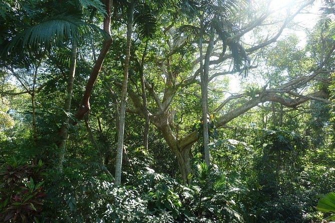 Skip the Line: Vallarta Botanical Garden Admission Ticket - Should you book this Vallarta Botanical Garden admission ticket?