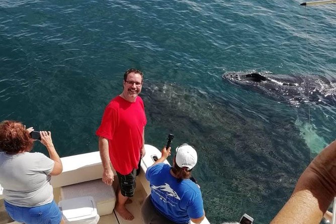 Small-Group Half-Day Whale-Watching Tour in Puerto Vallarta - Responsible Viewing in a Busy Marine Bay