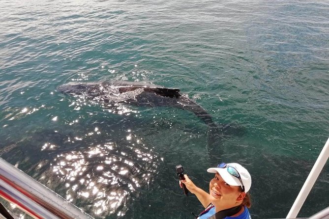 Small-Group Half-Day Whale-Watching Tour in Puerto Vallarta - Lunch and Soft Drinks: Why the Included Meal Is More Valuable Than It Seems