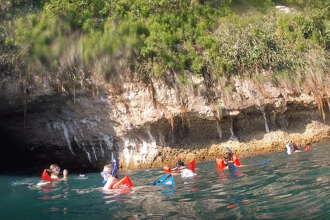 Small Group Snorkeling in Los Arcos, Puerto Vallarta - Your guide setup: life guard safety meets real marine science