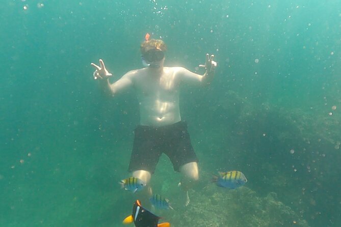 Snorkeling at Los Arcos 5 islands Hidden Beach and Cliff Jumping - Should you book Los Arcos snorkeling with cliff jumping at Mismaloya?