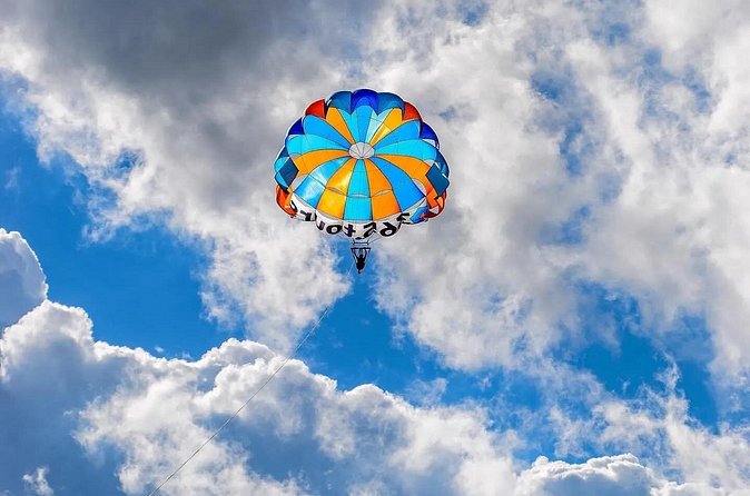 Solo Parasailing Experience in Puerto Vallarta - What You Might See Above the Bay: Whales, Manta Rays, and Clarity Tips